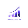 Tráfego Academy